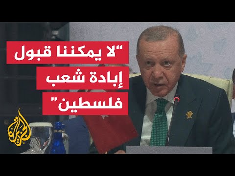 أردوغان: يجب السعي لتقديم المسؤولين الإسرائيليين إلى العدالة وفقا لآليات القانون الدولي