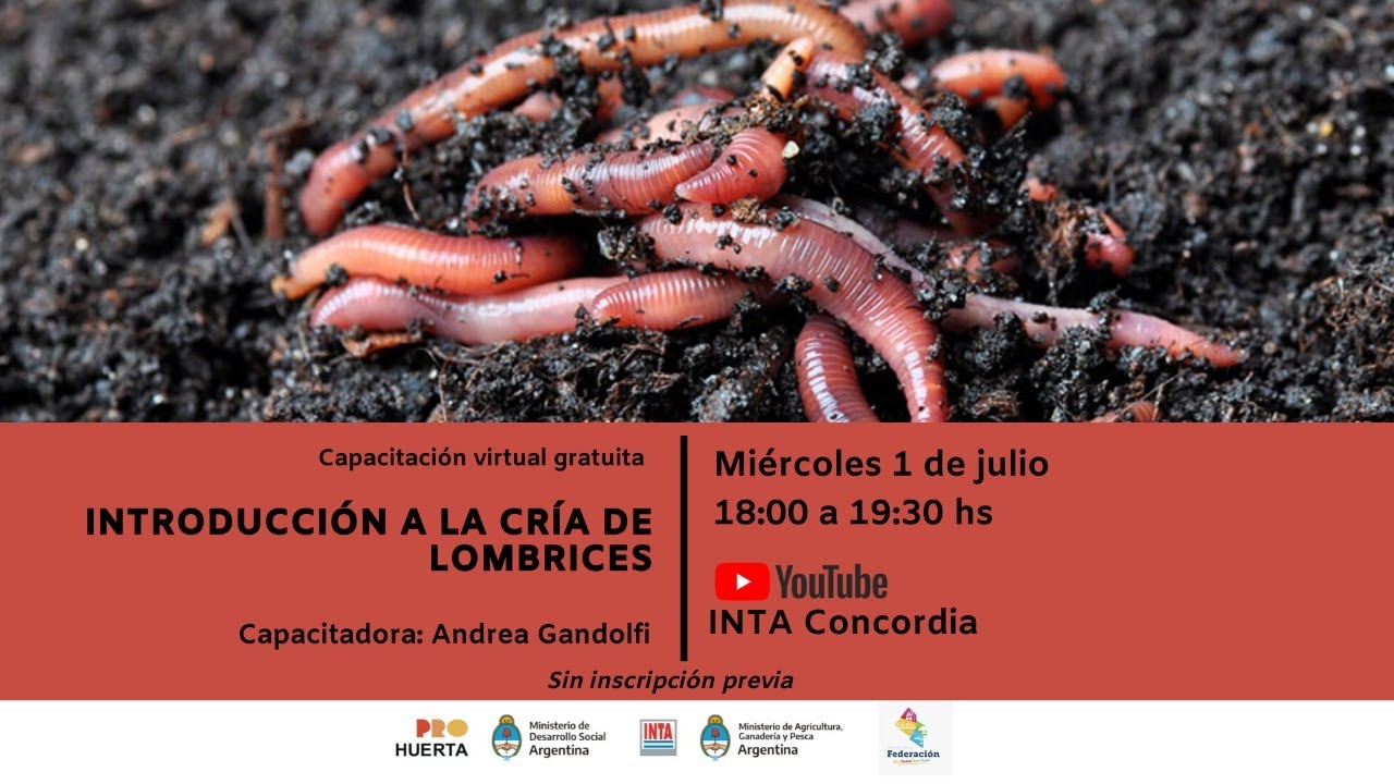 Introducción a la cría de lombrices