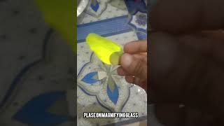 Easy Method of Make Microscope