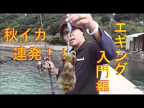 秋イカ連発 エギング入門 釣り方 しゃくり方など解説 フィールドスタッフが教える秋イカエギング Eging Bieginers Course Youtube 秋イカ連発 エギング入門 釣り方 しゃくり方など解説 フィールドスタッフが教える秋イカエギング Eging Bieginers Course Youtube