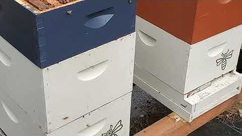 Quilt box installation for bee hive winterization