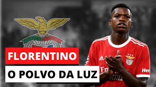 Florentino Luís - Desarmes & Intercepções Benfica 2223