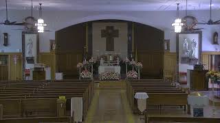 public test