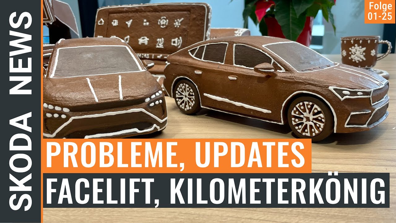 enyaq-probleme-updates-facelift-vw-datenleck-kilometerk-nig