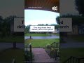 Tiny dog steals food delivery from front porch