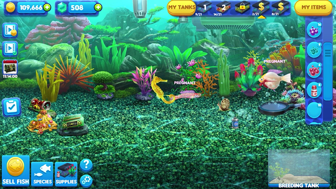 Fish Tycoon Magic Fish Chart Pictures