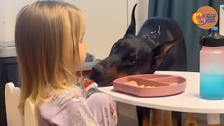 We Adopted a Doberman No One Wanted... What He Did With Our Daughter Was Priceless