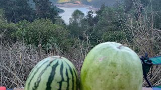 FunBlast 🍉 karpuz patlatma challenge 🍉