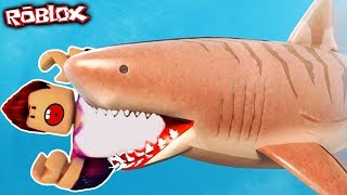Роблокс СТАЛ МЕГАЛОДОНОМ И ВСЕХ СЪЕЛ летсплей симулятор выживания в ROBLOX SharkBite Роблокс СТАЛ МЕГАЛОДОНОМ И ВСЕХ СЪЕЛ летсплей симулятор выживания в ROBLOX SharkBite