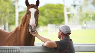 Cairns Amateur Carnival Video by Adllins Media 05 09 2022