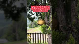 أسئلة استرجاع الذكريات (صندوق الذكريات الدافئة) #اكسبلور #تصويري