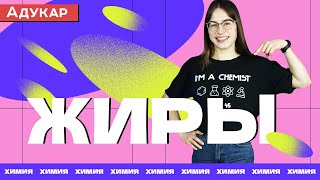 картинка: Жиры | Органическая химия ЕГЭ, ЦТ