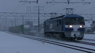 雪で化粧を! EF210-9 5052レ 福岡タ~東京タ
