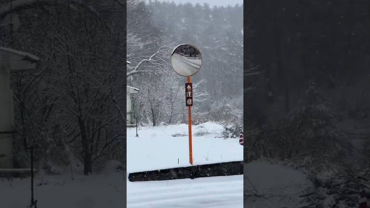 Winter ❄️ 🇯🇵 