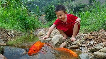 Em ổi đuổi bắt cá vàng thật hài hước tinh nghịch dễ thương #bắtcávàng #tìmbắtcávàng #cávàng