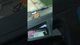 Delivery Driver Releases Bird Trapped in Van