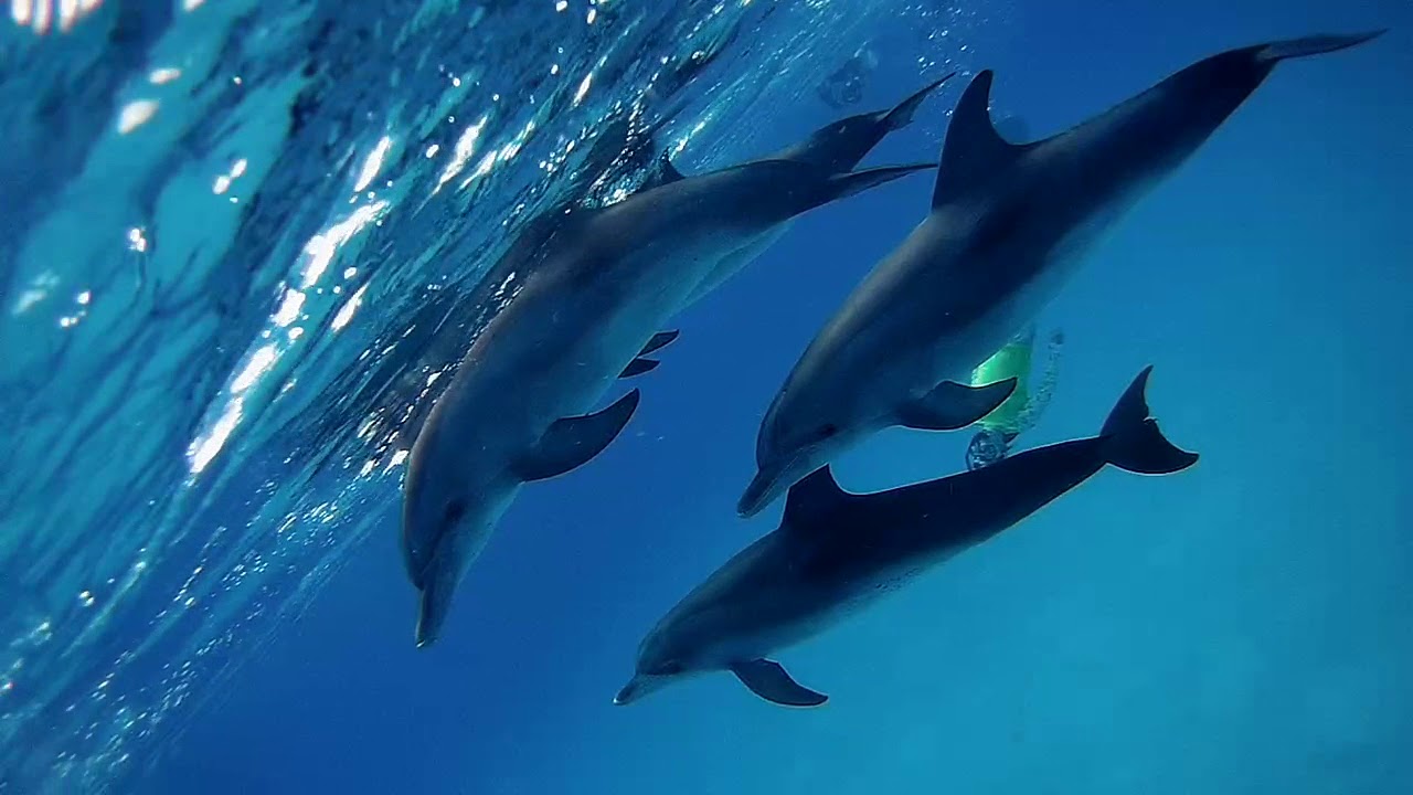 2017 0814 135328 017