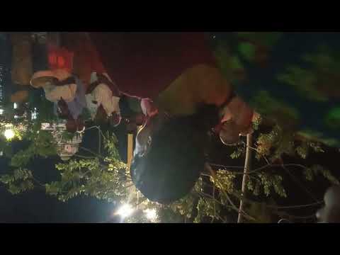 Vavipalayam or Kolaram | Poovaadu dance| May 14 2023