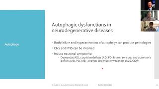 Autophagy and cognitive decline, Alzheimer