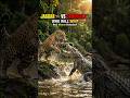 Jaguar vs Crocodile 🐆🐊 | Who Will Win? Real Winner Revealed!