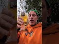 HAVANA NIGHTS #beerlife #beer #craftbeerreview #craftbeer #craftbrew #brewedition #beerreview