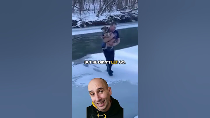 Vermont Man Risks His Life to Save Drowning Dog | Evan Carmichael