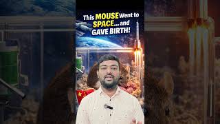 Space Mouse Gives Birth After Mission 😱🐭🚀  China Space