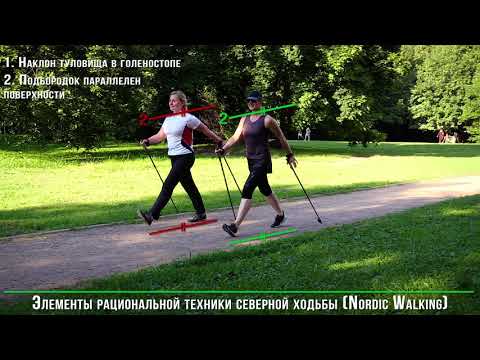 Video: Bastone In Mano O Nordic Walking