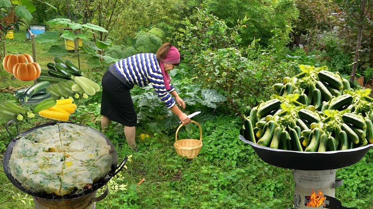 Сбор цуккини — 1 час лучших рецептов