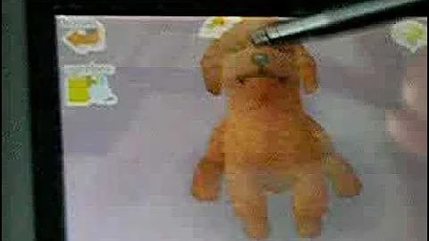 Training and tricks with our Nintendogs - Part 2