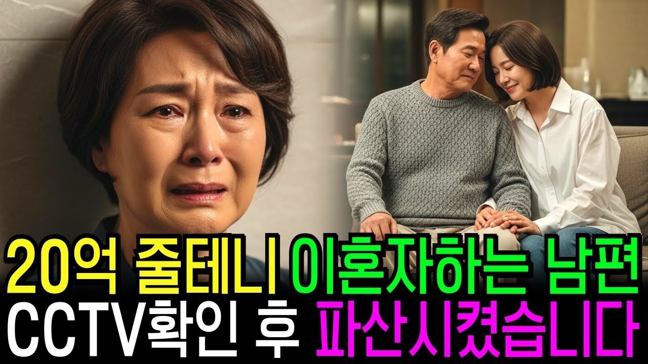 20억 줄테니 이혼하자는 남편, CCTV 확인 후 파산시켰습니다