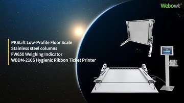 WEBOWT PKS-FW650 Lift Low-Profile Stainless Steel Floor Scale With Label Printing Function