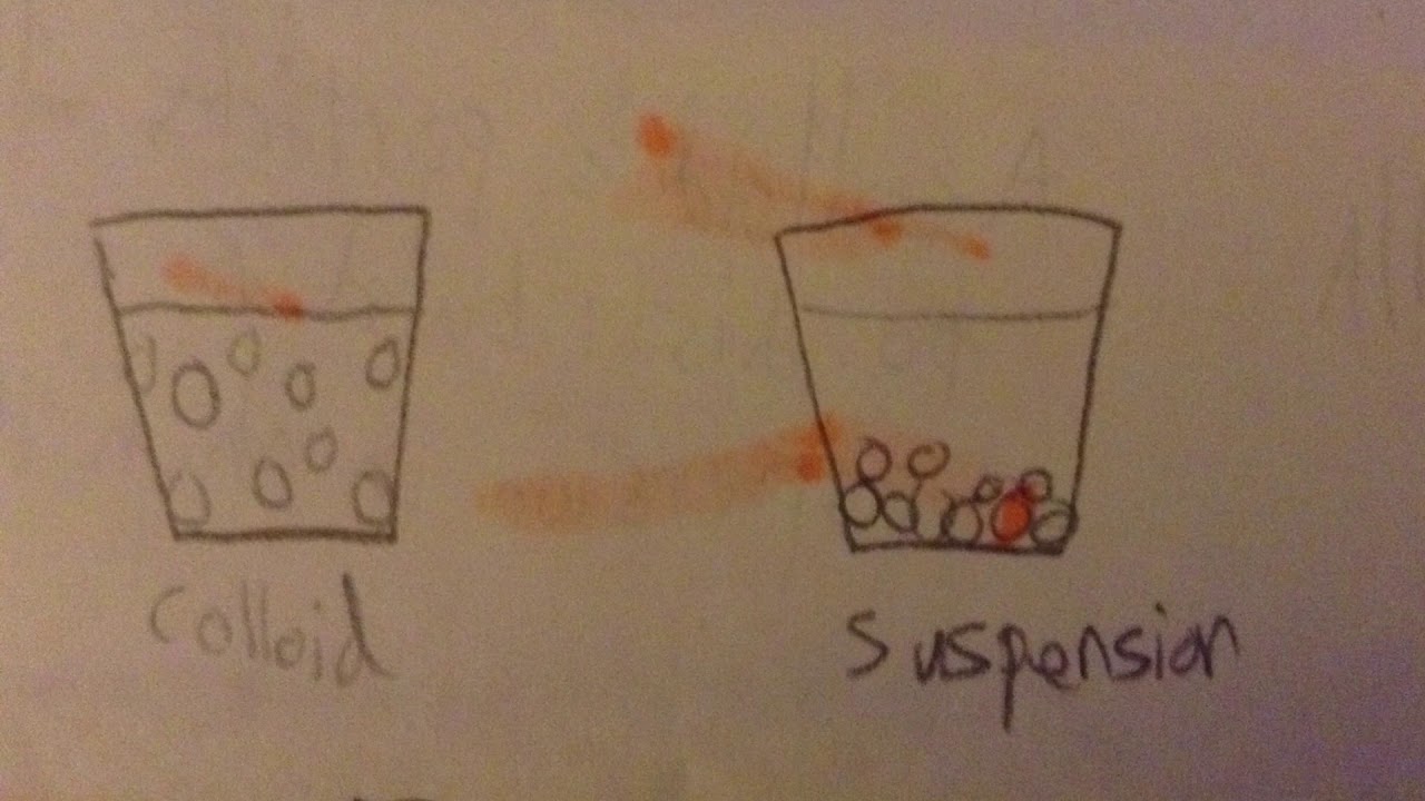 Colloid vs Suspension YouTube