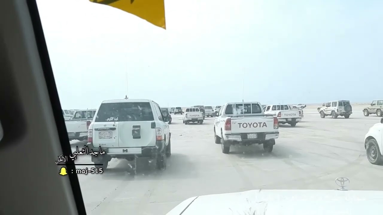 محاولة وطرح فرخ ( تامه ) المجيرمه 8 نوفمبر 2023#مقناص #الساحل_الغربي #الشعيبة #المجيرمة