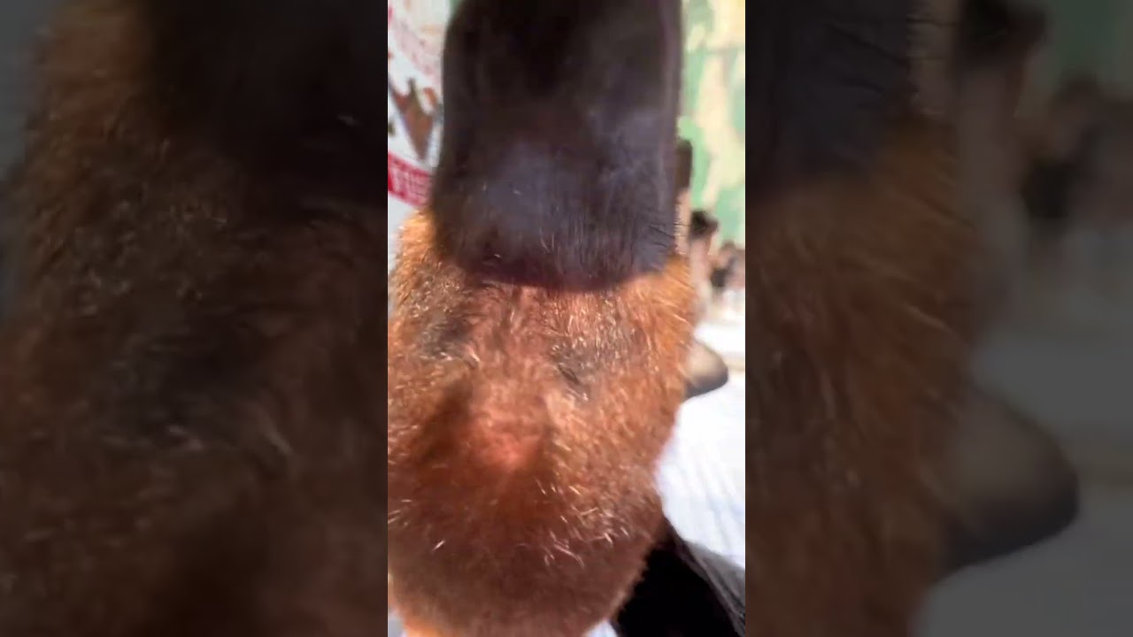 Inspection complete ✅ 