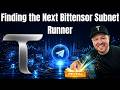 Finding the Next Bittensor Subnet Runner