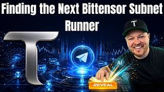 Finding the Next Bittensor Subnet Runner