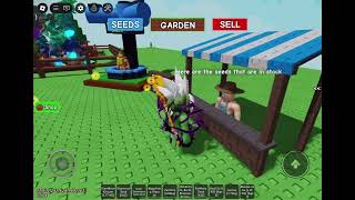 #shorts#growagarden #roblox #ember lily        Ember lily on stock ?!