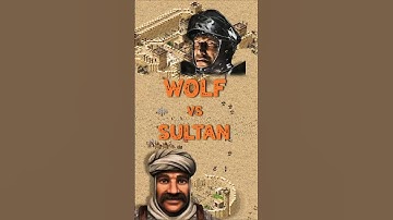 Wolf vs Sultan | Stronghold Crusader: DE #strongholdcrusader #gameplay #rts #fireflystudios