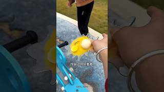 Celebrity Dad Almost Crushed a Real Egg😂 Profile