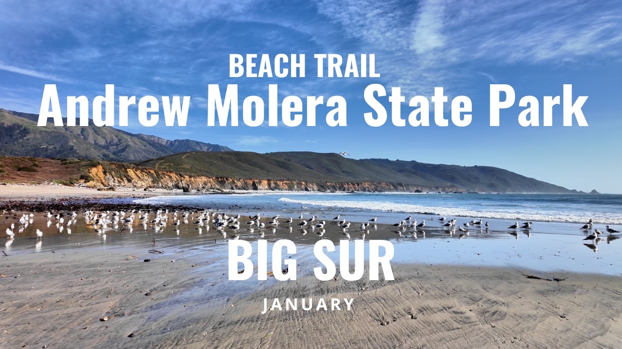 [4K] Andrew Molera State Park Trail to Beach — River Crossing & Big Sur Views | California Walks
