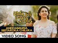 Andhamaina Seetakoka Chiluka Video Song - Jaya Janaki Nayaka Movie | Bellamkonda Sai Srinivas, Rakul