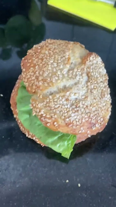 BIRD BURGER!🐦 #birds #meme #funny #burger