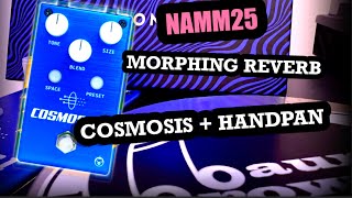 PIGTRONIX COSMOSIS 1 al NAMM25 – Reverb Morphing con Handpan
