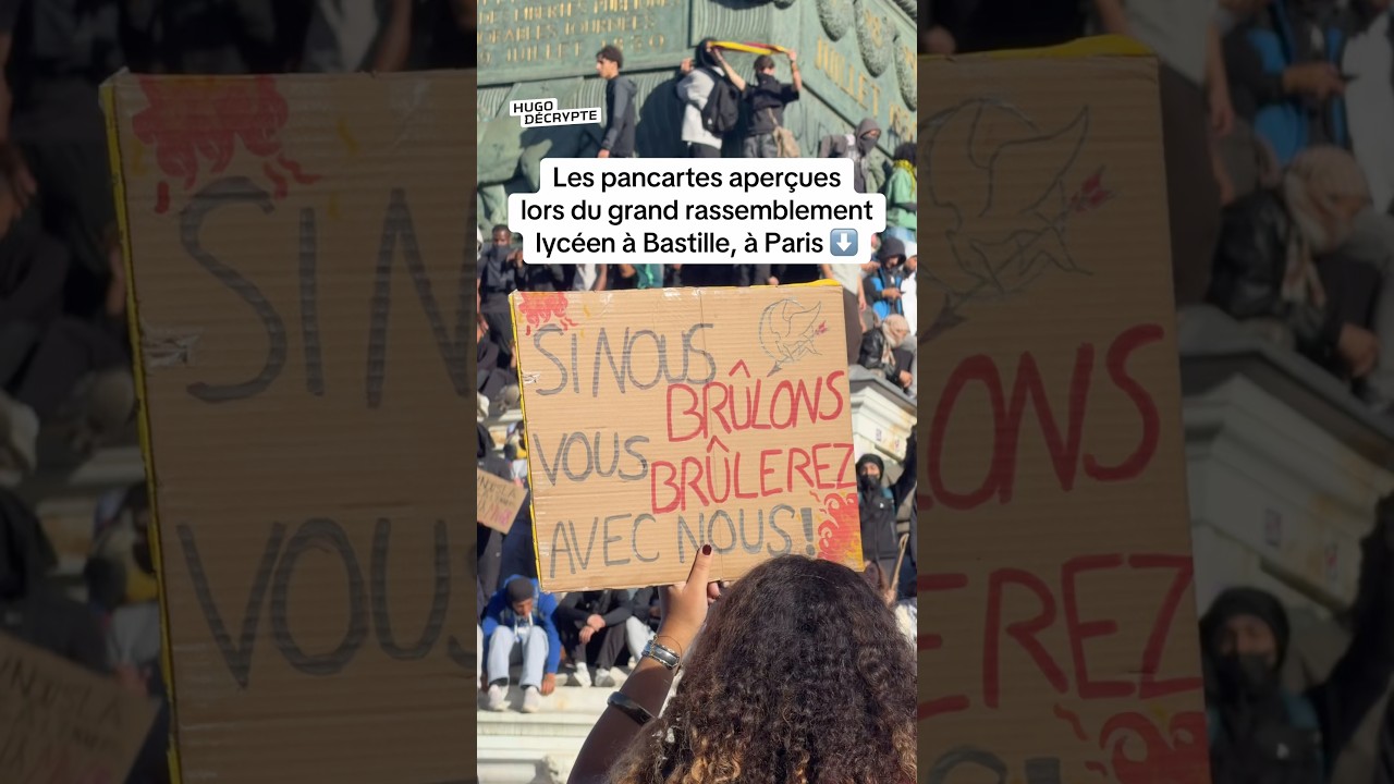 Les pancartes aperçues lors du grand rassemblement lycéen à Bastille, à Paris
