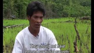 The Last Stand for The Alangan