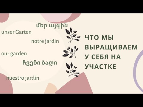 Video: Սալոր-բալի հիբրիդ. սորտեր և ակնարկներ