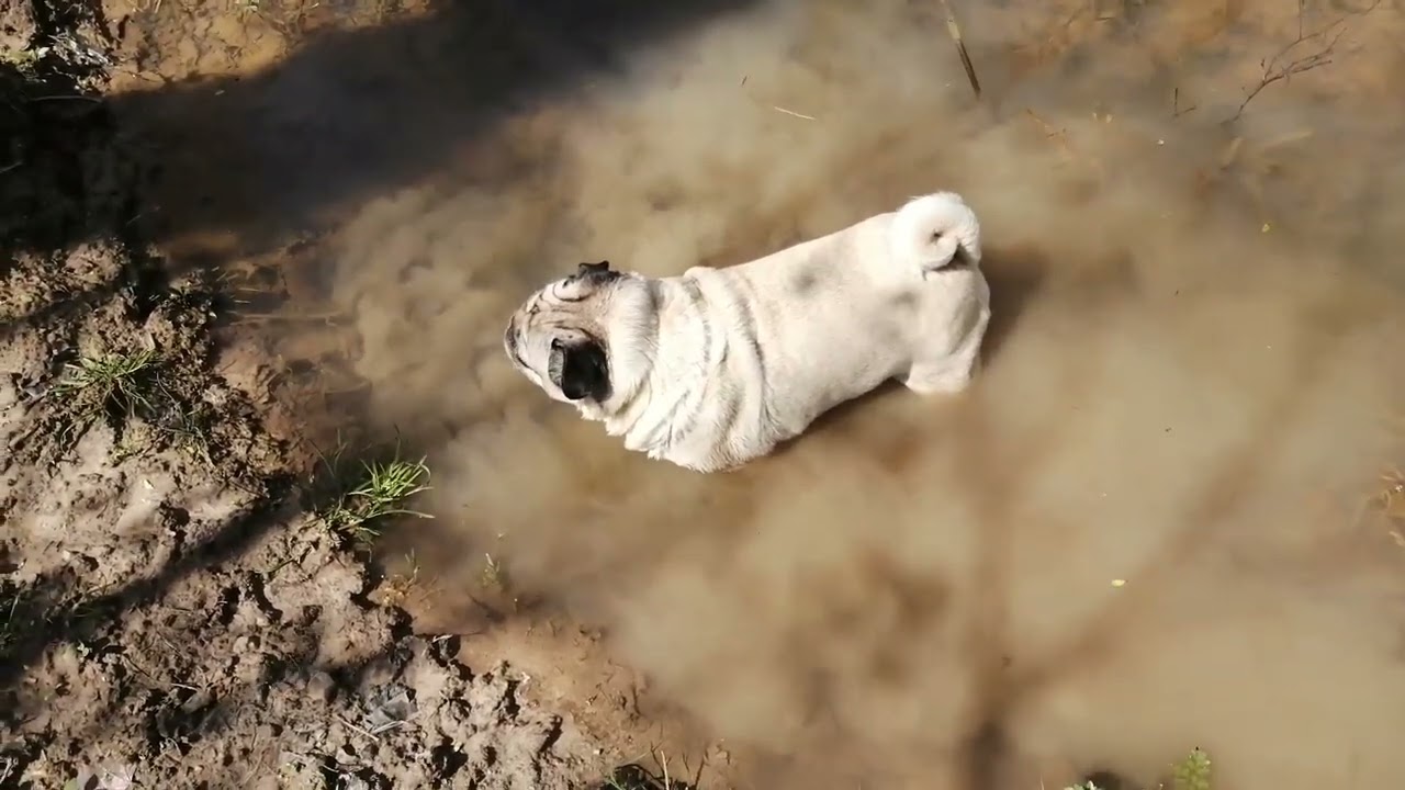 4 8 мая 2025г Лемеза МалыйИнзер