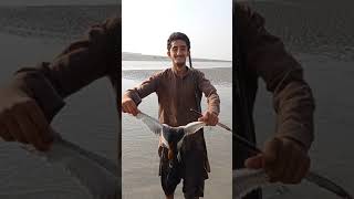 Redheaded Duck Hunting At Indus Rivermurghabi Ka Shikarwaterfowl Hunting 7-10-21