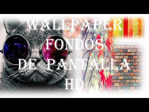 Wallpaper fondos de pantalla HD Wallpaper fondos de pantalla HD